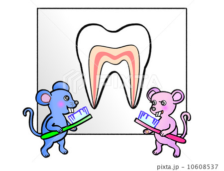 6月4日 虫歯予防デーのイラスト素材