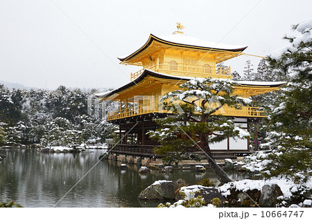 雪の金閣寺の写真素材