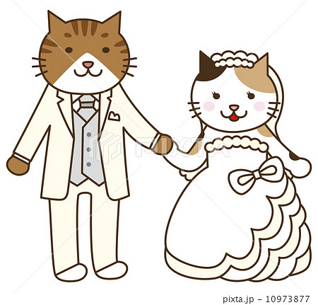 新郎新婦 結婚 結婚式 猫のイラスト素材