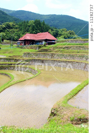 小崎地区 美里町 棚田の写真素材