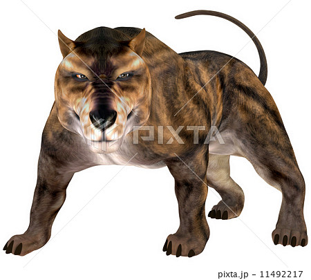 陸生動物 砂漠 骨 肉食 動物のイラスト素材