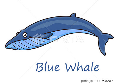 ブルー 青 くじら クジラのイラスト素材 - PIXTA