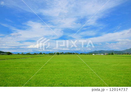 近江盆地の写真素材