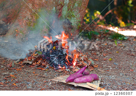 焚き火 焼き芋 秋 冬 暖の写真素材