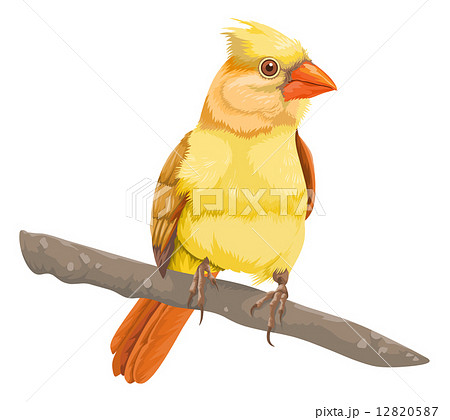 鳥が木にとまるのイラスト素材