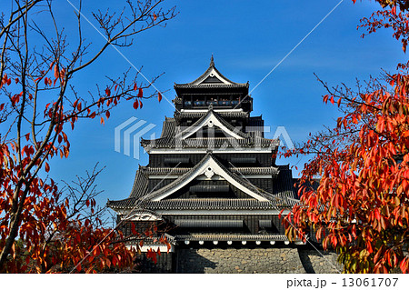 秋 紅葉 熊本城 武者返しの写真素材