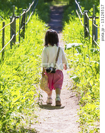 女の子 後ろ姿 少女 幼女 背中の写真素材