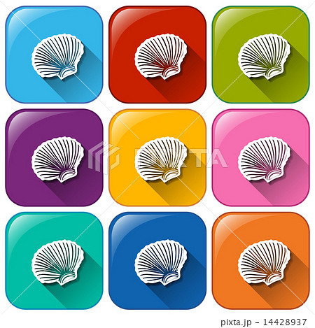 Shell Iconsのイラスト素材