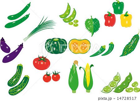 いろんな野菜のイラスト素材