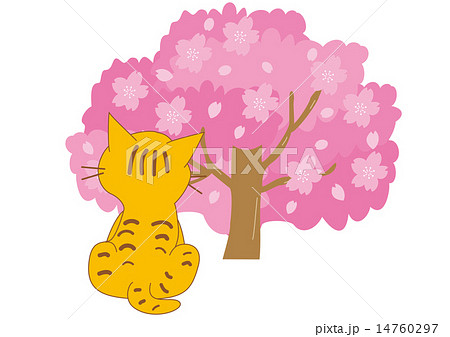 猫 後ろ姿のイラスト素材