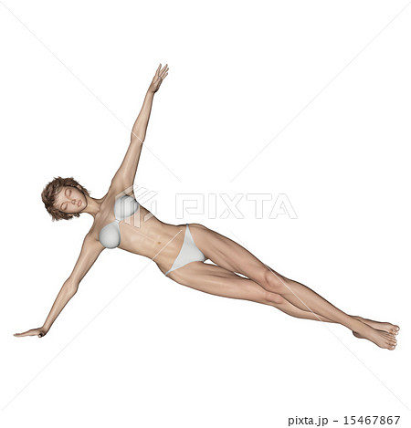 筋肉標本 人物 女性 ヨガのイラスト素材 筋肉標本 人物 女性 ヨガのイラスト素材