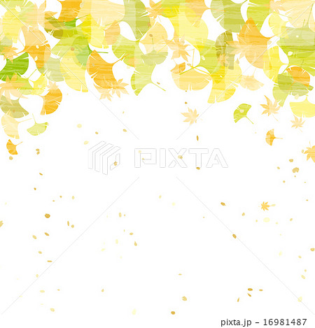 銀杏 もみじのイラスト素材