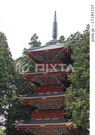 五重塔 日光東照宮 重要文化財 酒井忠勝公の写真素材