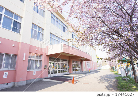 校門前 桜の写真素材