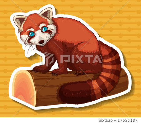 Raccoon Illustrations - Pixta