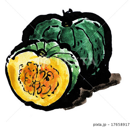 カボチャ 野菜 絵手紙風 イラストのイラスト素材