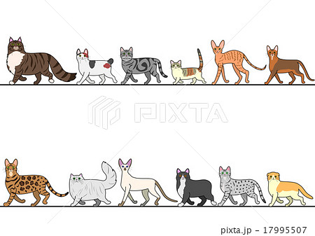 動物 一列 歩く 猫のイラスト素材 Pixta
