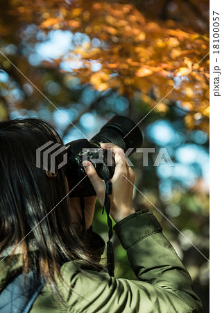 人物 女性 カメラマン 後姿 女の人 背中の写真素材