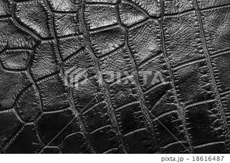 Black Crocodile Leather Texture Background Stock Photo 134315576