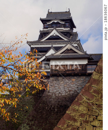 秋 紅葉 熊本城 武者返しの写真素材