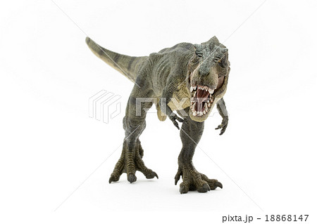ティラノサウルス フィギュア 口を開けている 恐竜の写真素材