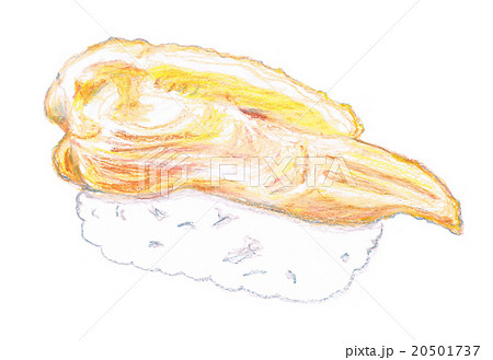 海松貝のイラスト素材