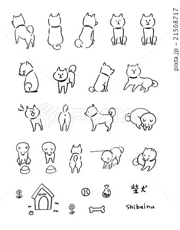 ベクター 線画 犬 柴犬のイラスト素材