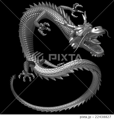 竜 龍 ドラゴン 全身のイラスト素材