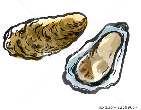 牡蠣 水墨画 カキ 貝のイラスト素材