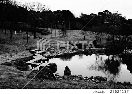 冬 池 モノクロ 静寂の写真素材