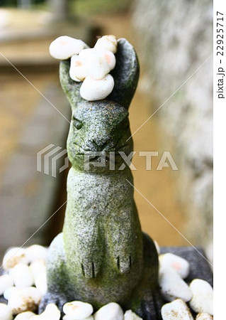 うさぎの石像の写真素材 - PIXTA