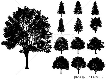 木 シルエット ベクターのイラスト素材 23378007 Pixta
