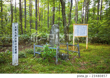 大野九郎兵衛の写真素材