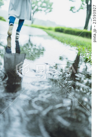 公園 雨 水たまり 雨天 反射の写真素材