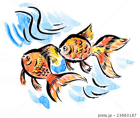魚類 金魚 夜店 絵手紙風のイラスト素材