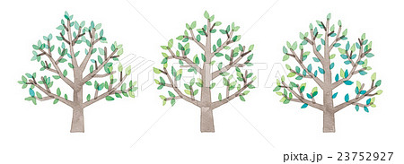 木 並木 若葉 自然のイラスト素材