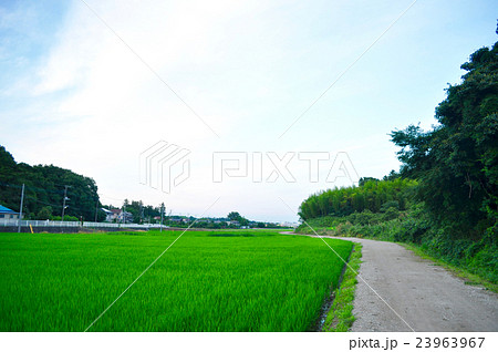 なめがわ温泉 花和楽の湯の写真素材 なめがわ温泉 花和楽の湯の写真素材