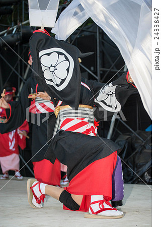 よさこい よさこい祭り 祭り 後夜祭の写真素材