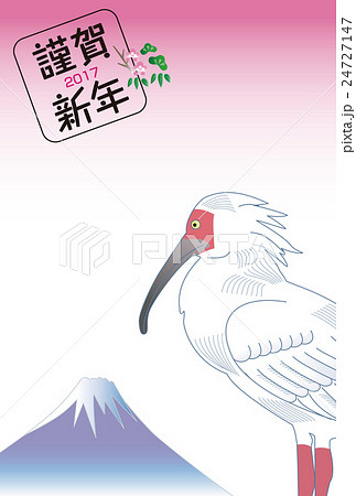 朱鷺 鳥 トキ 天然記念物のイラスト素材