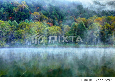 木戸池 夜明け 朝霧 池の写真素材