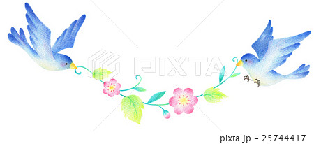 羽ばたく 青い鳥 小鳥 飛ぶのイラスト素材