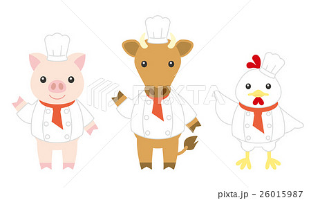 ニワトリ 料理人 コック 擬人化のイラスト素材