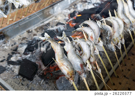 串刺し 鮎 塩焼き 焼き魚の写真素材