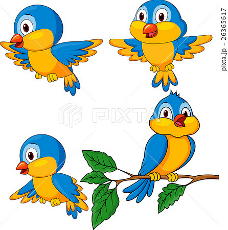 イラスト 鳥 正面 飛ぶの写真素材