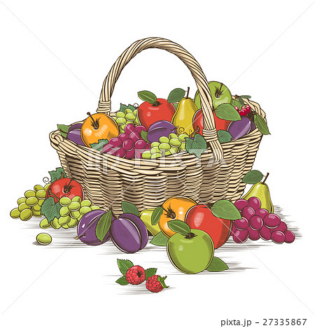 木版画 フルーツ 果物 カゴのイラスト素材