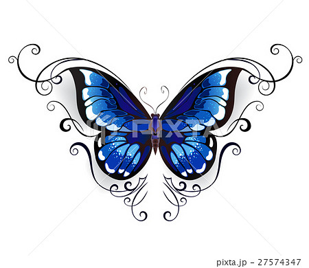 青い蝶 ブルーバタフライ 青いチョウチョ アイコンのイラスト素材