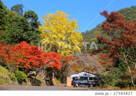 木谷峡の写真素材