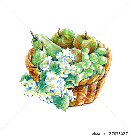 フルーツバスケットのイラスト素材