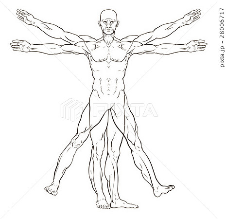 ダヴィンチ 人体図の写真素材