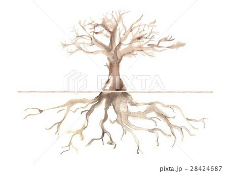 木 根 根っこ 木の根のイラスト素材 - PIXTA